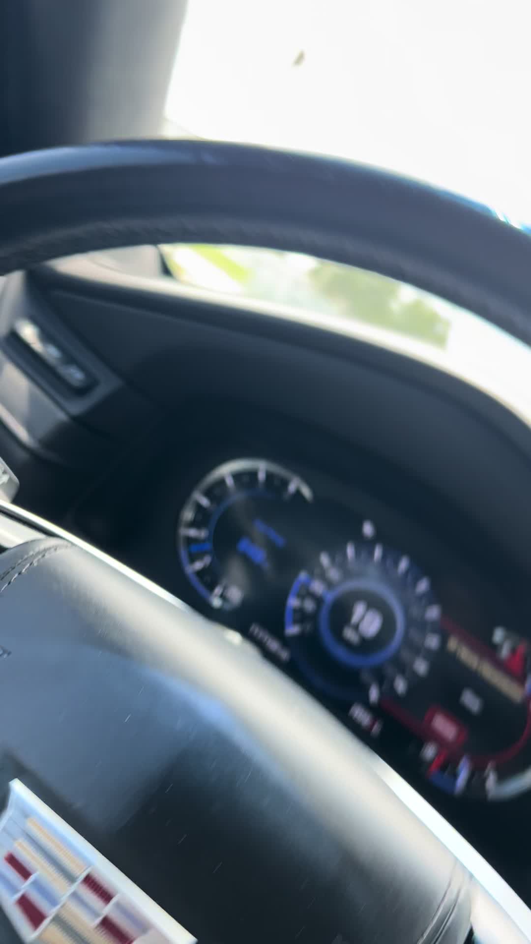 @tampabaywholesalecars.com