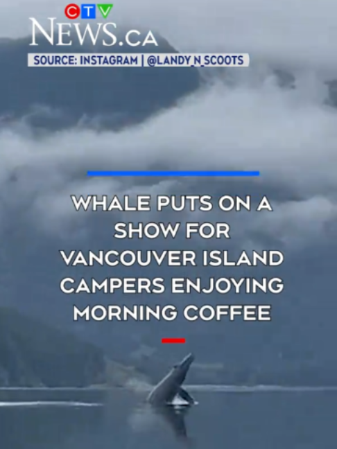 @CTV News Vancouver Island