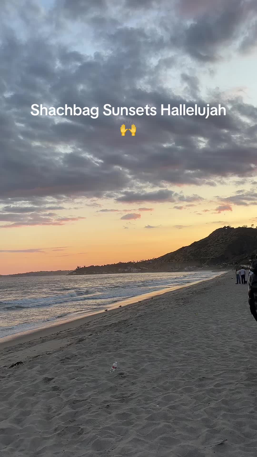 @Shevet Chen LA๐๐ฉท