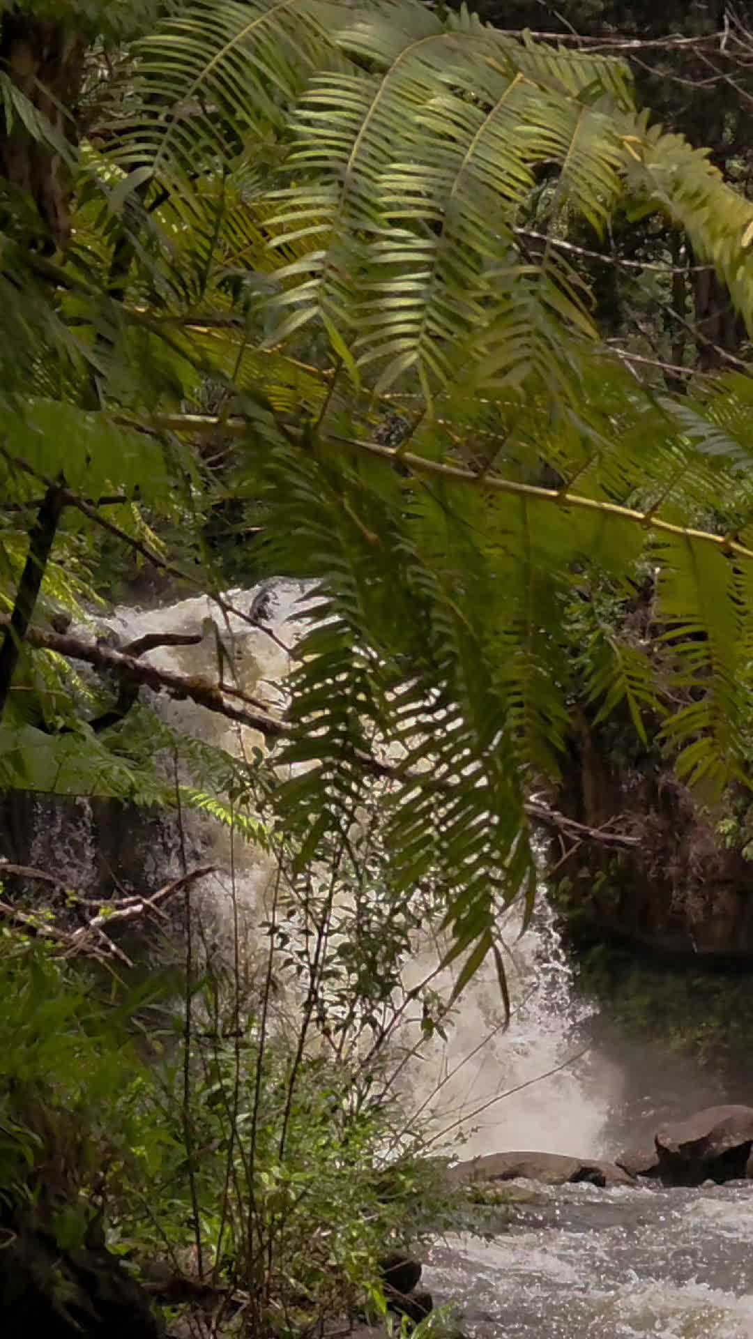 @Hike Maui