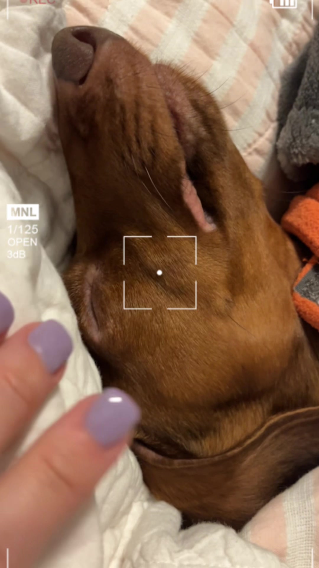 @HomewithLouise