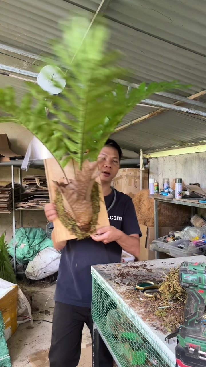 @Huy Kiểng L&aacute;