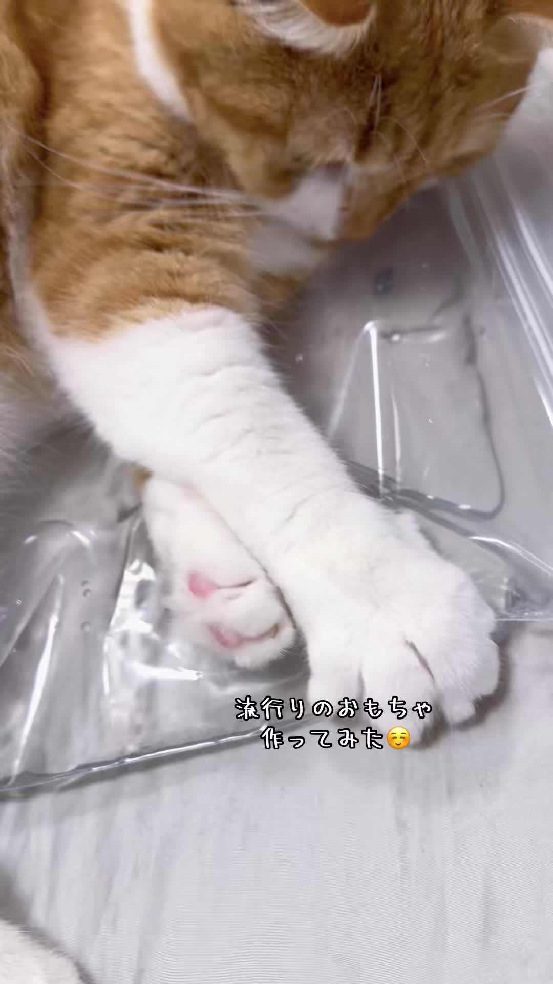 @マロン