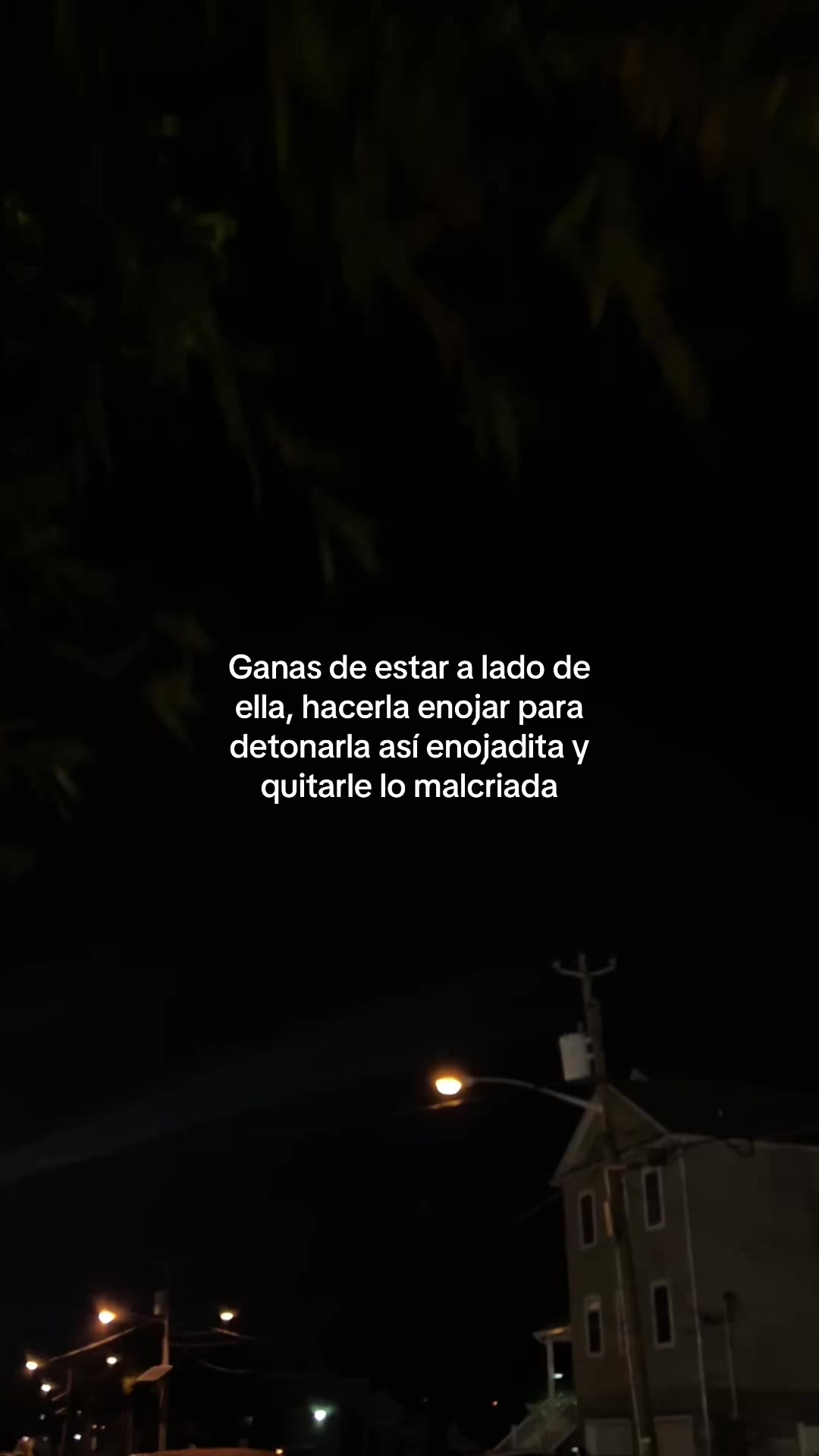 @locoperoportii