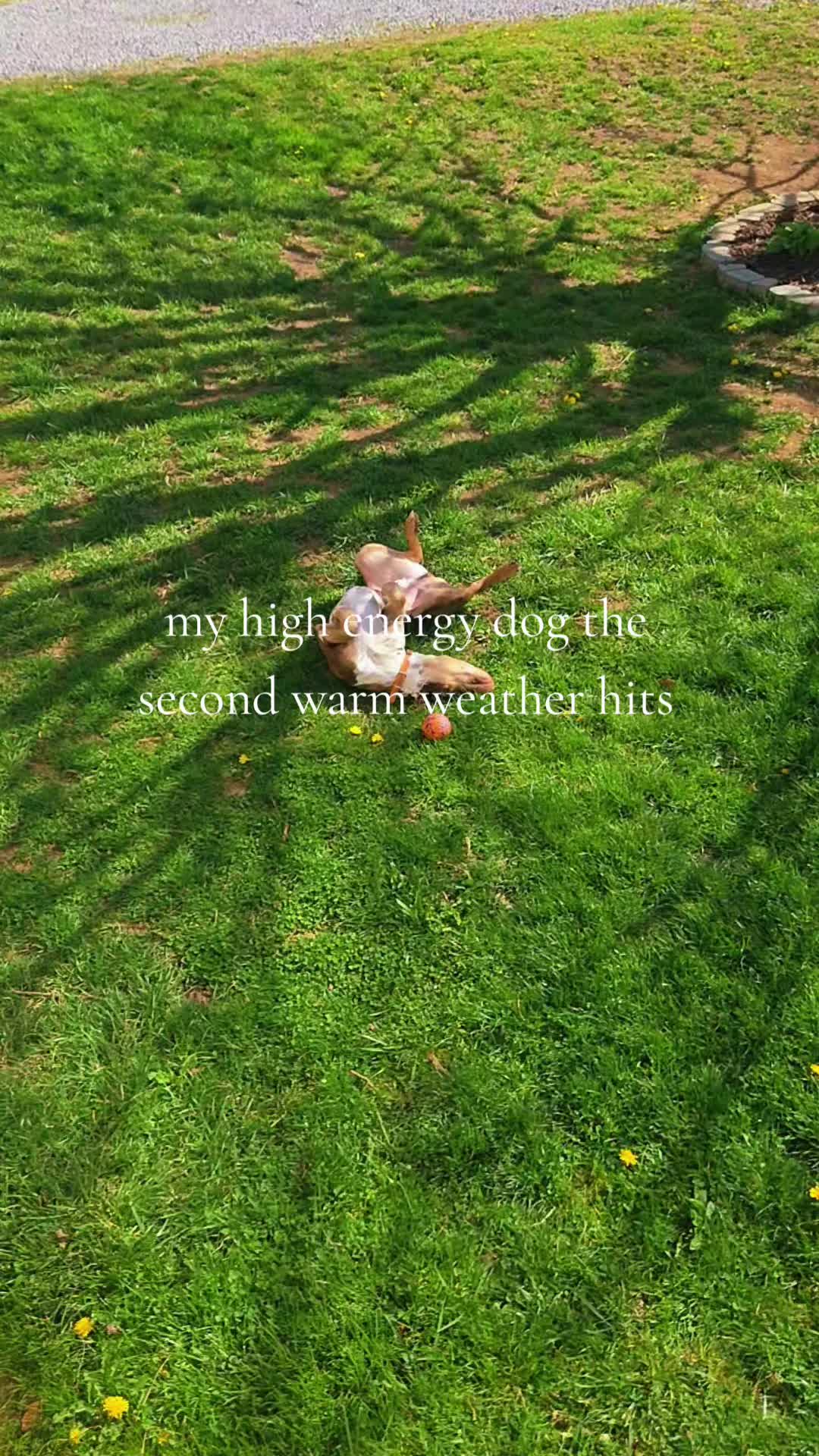@Cassidy | My Appalachian Life