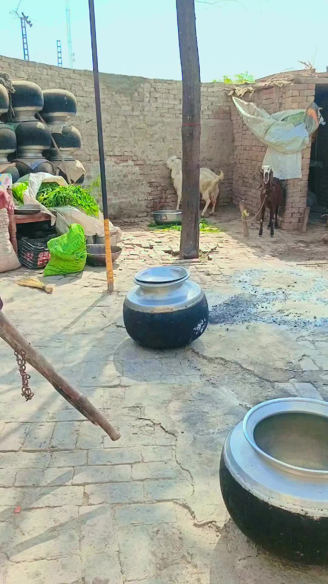 @zubairsh3