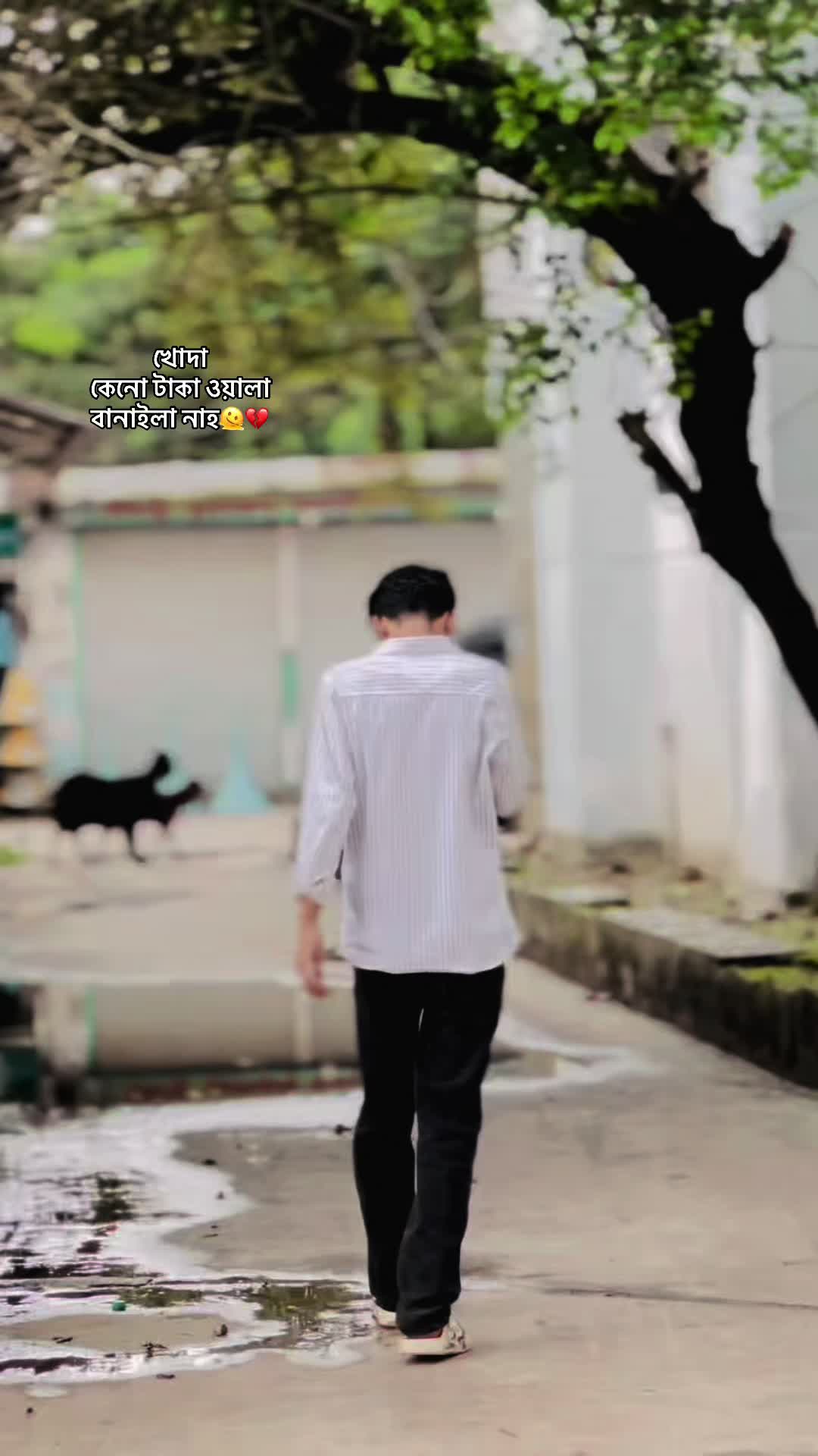 @whoโ๏ธ
