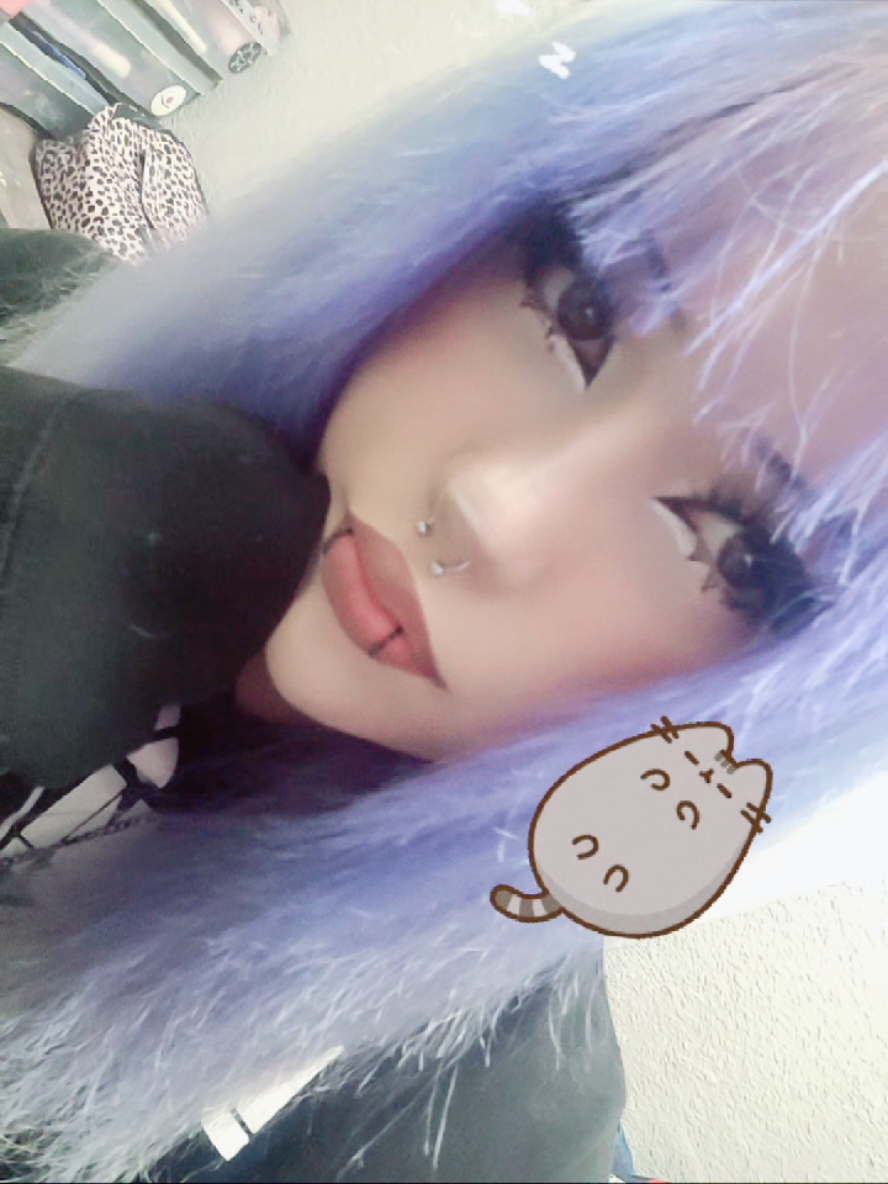 @kitty≽(•⩊ •マ≼