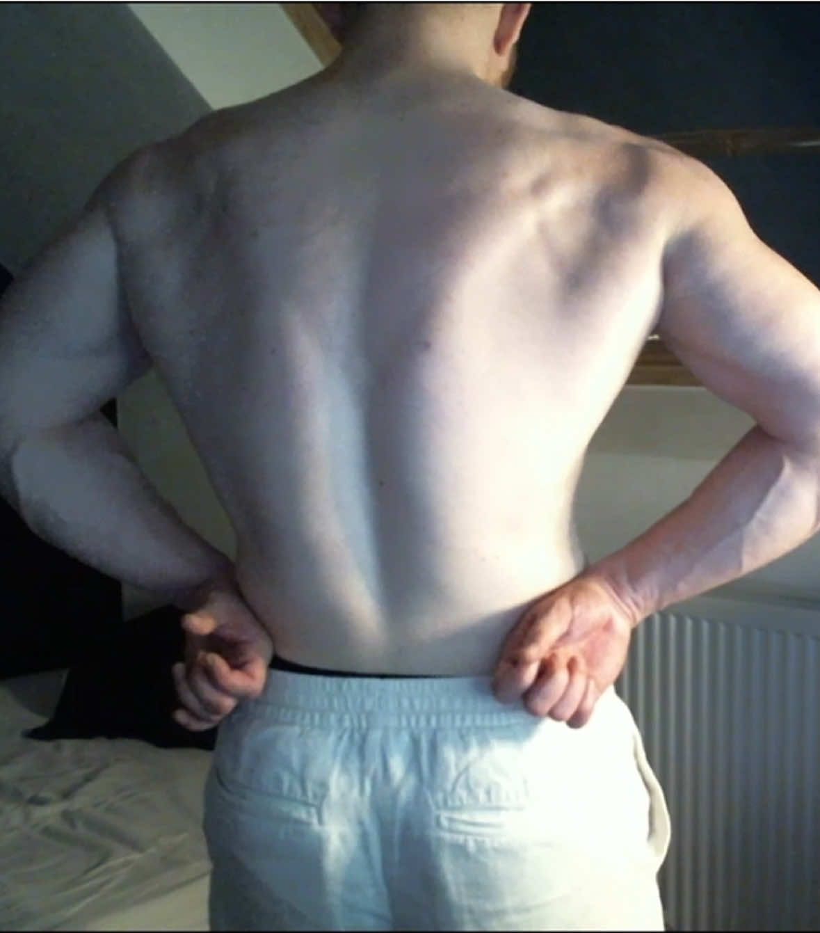 @ForearmWizard💪