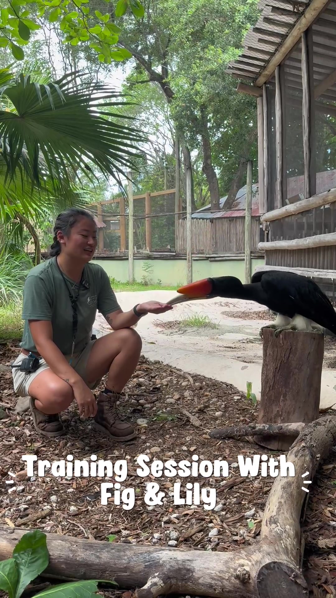 @Palm Beach Zoo