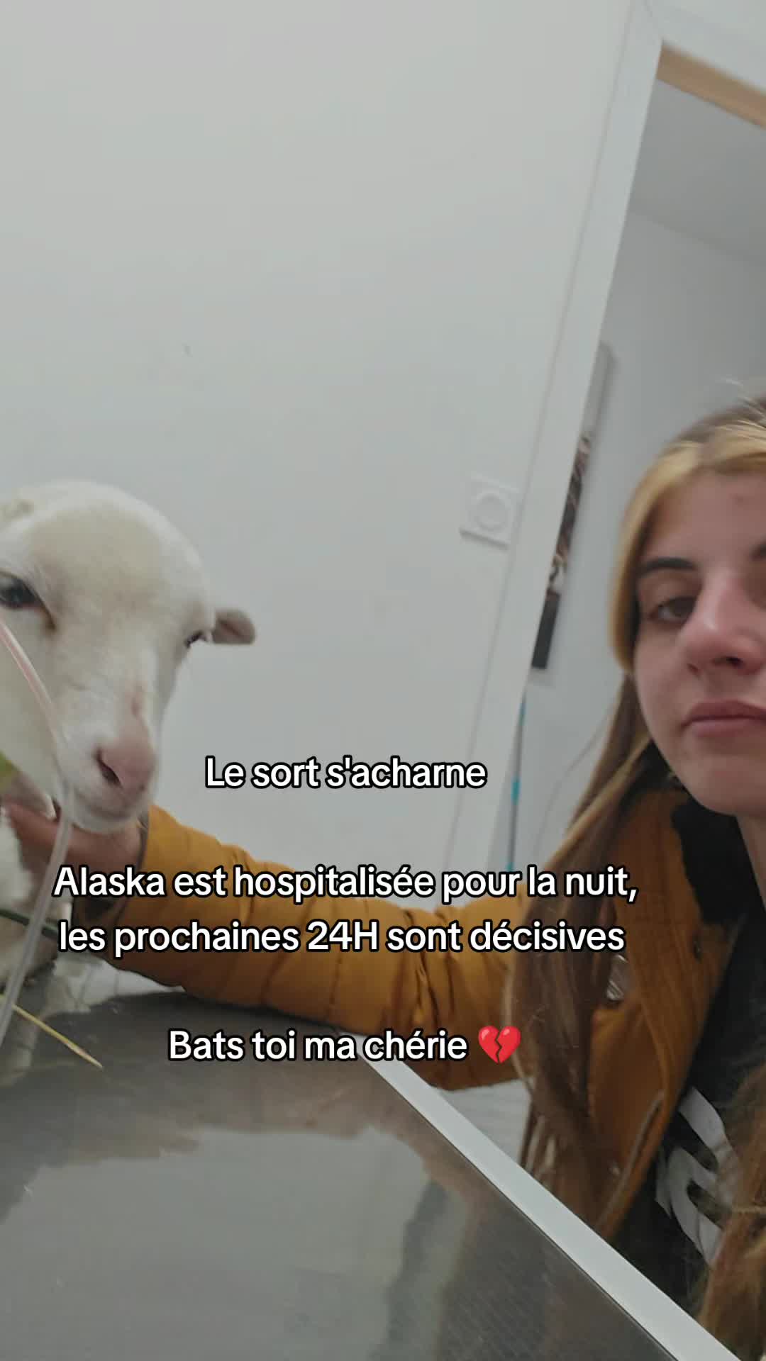 @AhlFa