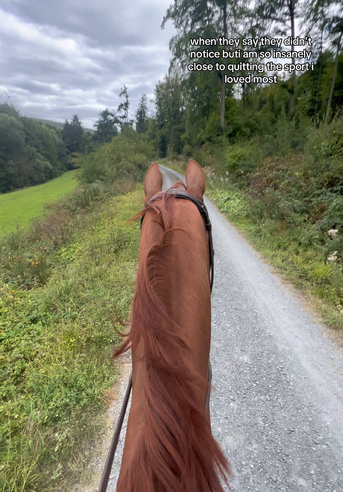 @annalisa.equestrian