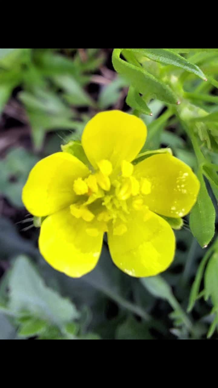 @Natur und Garten