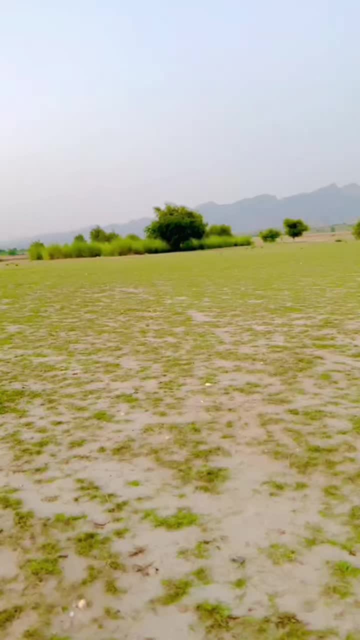 @Malik_Irfan_Shahbazi