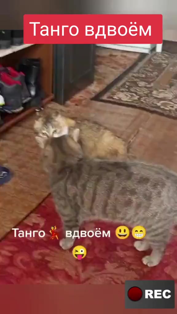 @Лариса