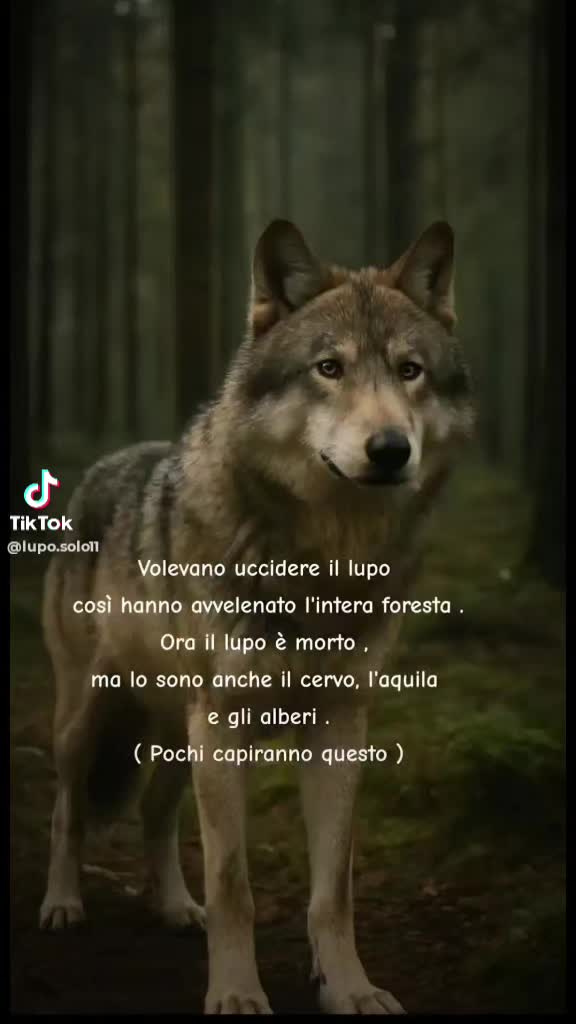 @il calabrese