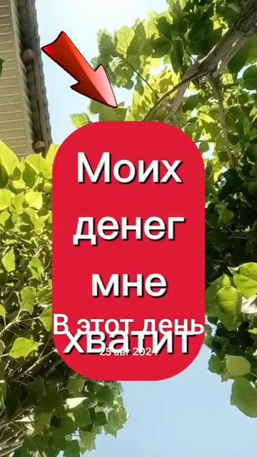 @Rustam