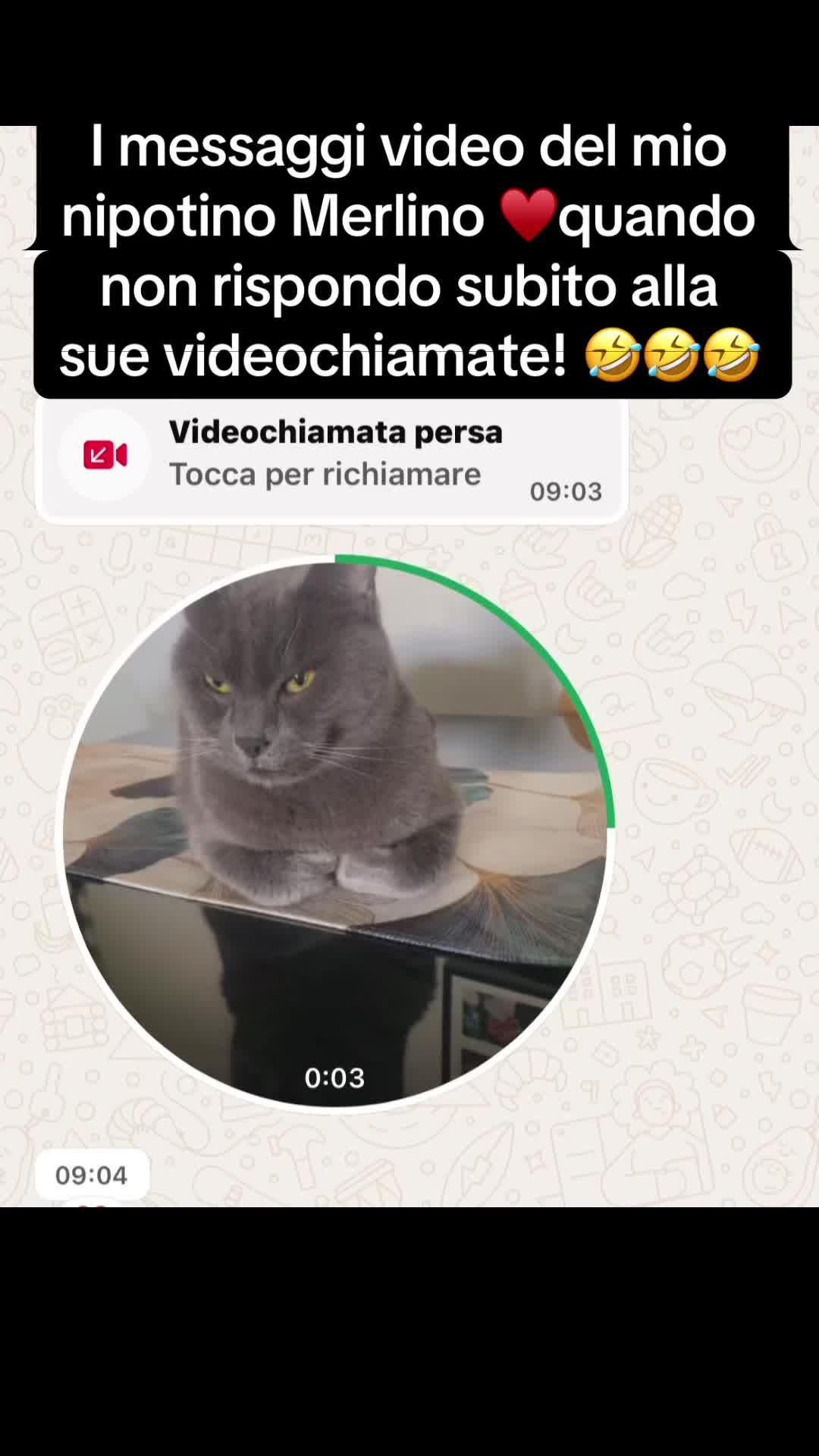 @antonellarizzo962