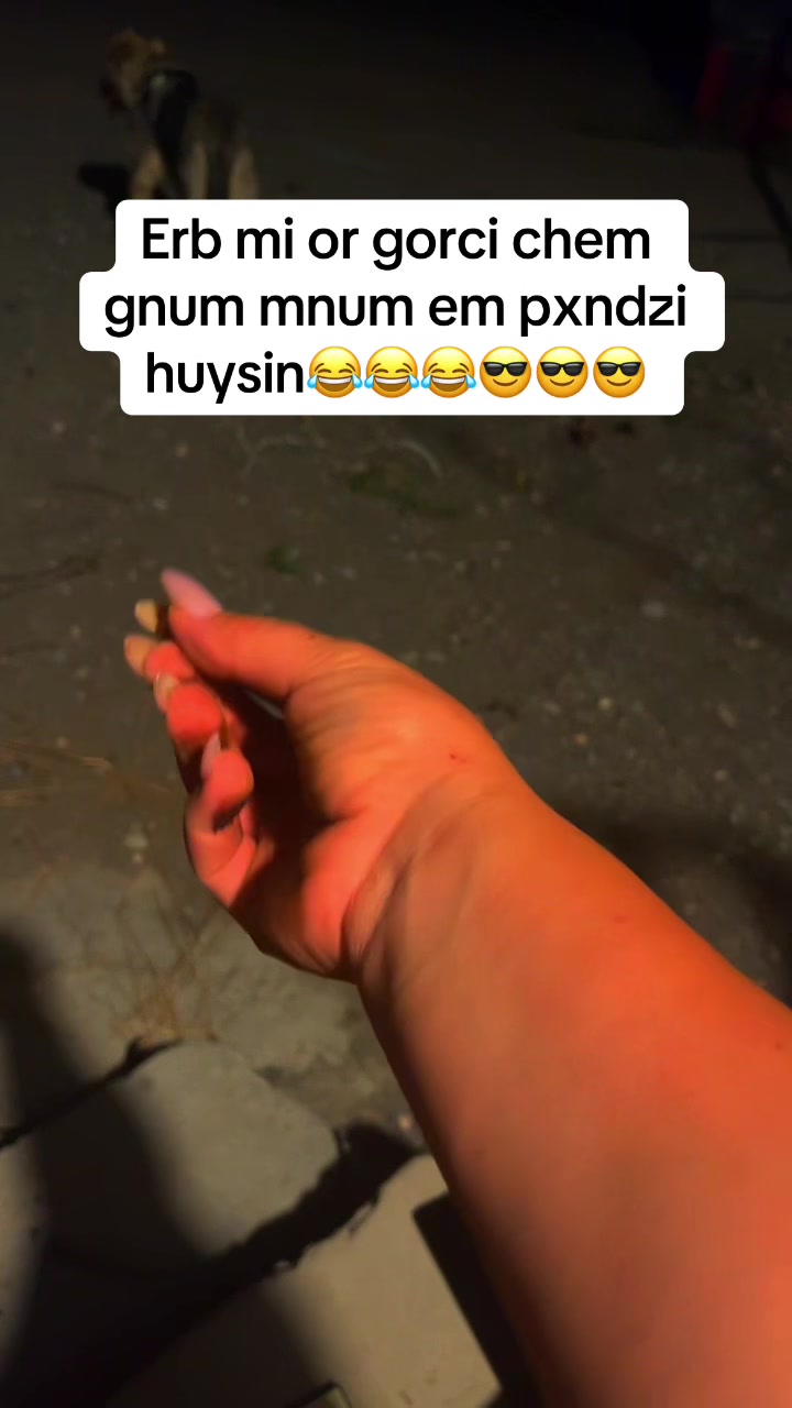 @Львица666