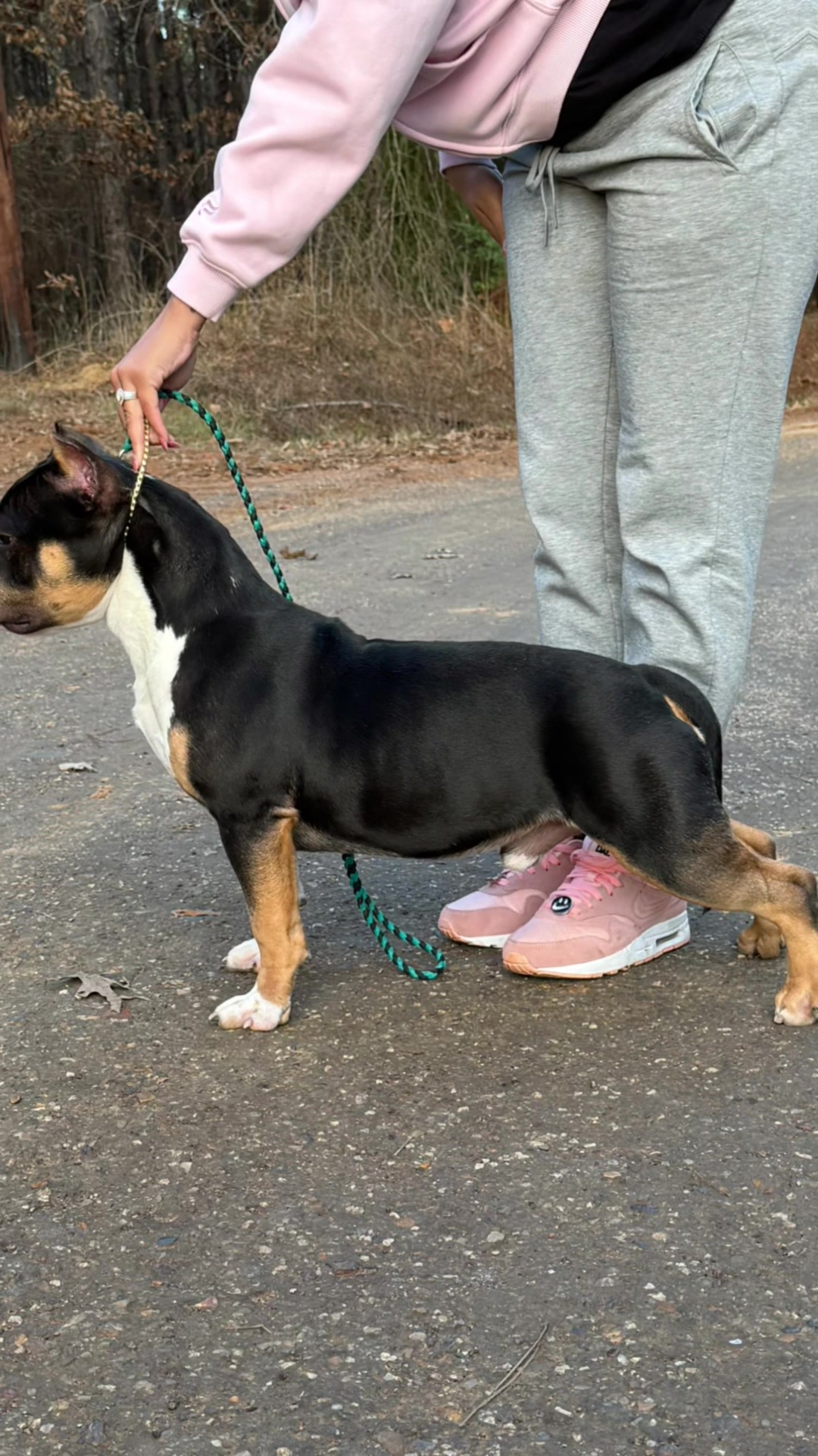 @Scooterzbullyz LLC