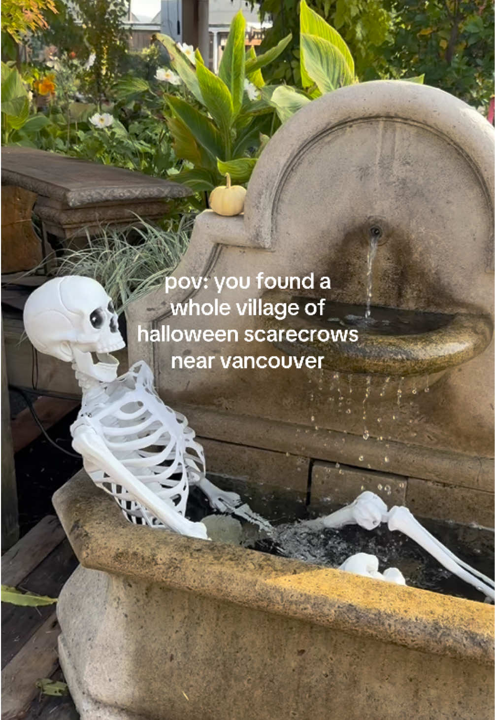 @Lena