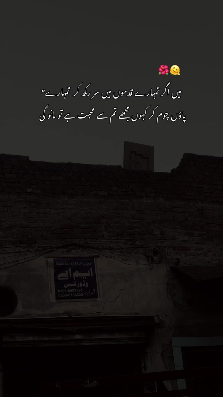 @>پاگل ہو <🦋