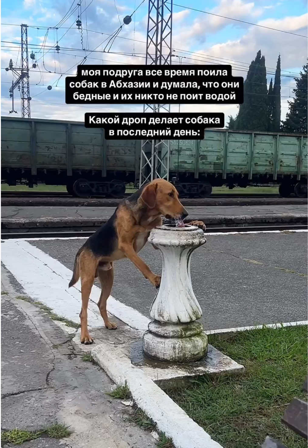 @ТГК: SUN