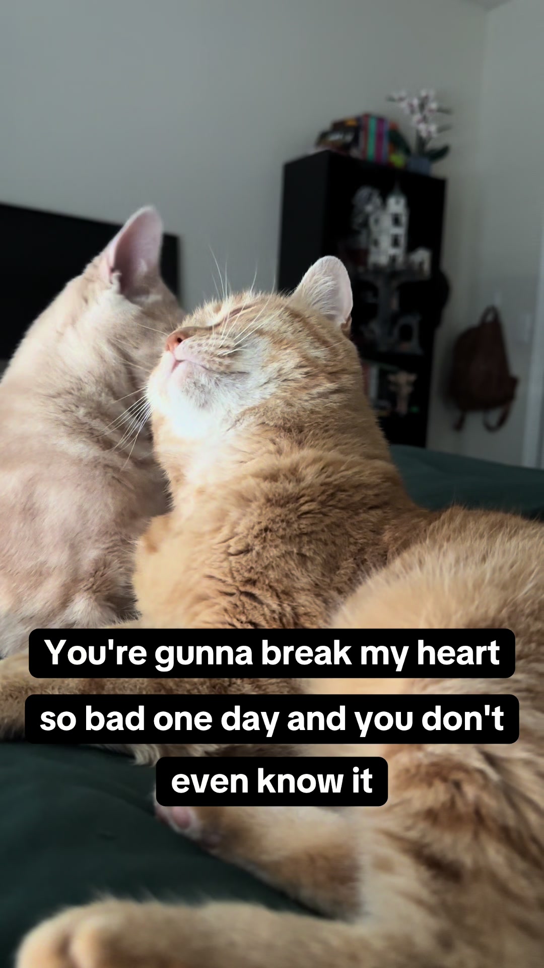 @Bekah 🌹