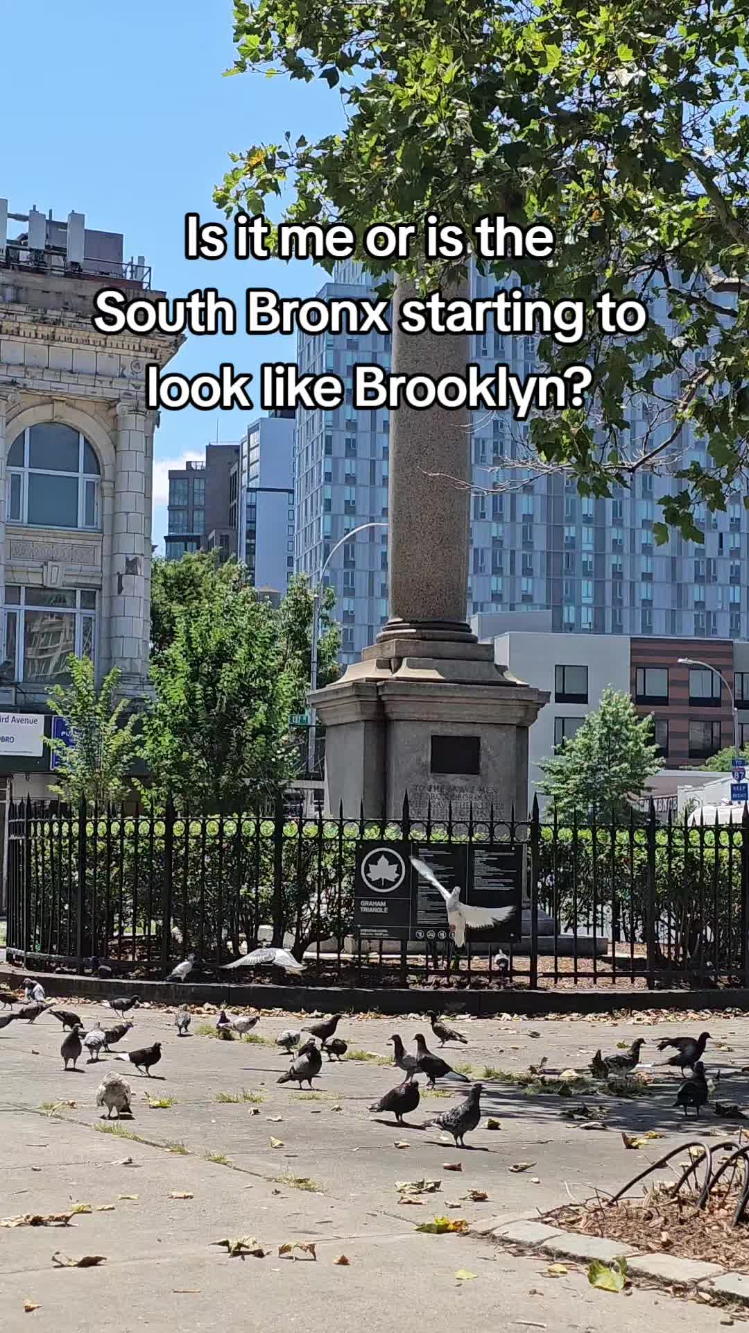 @Dave From The Bronx 🗽