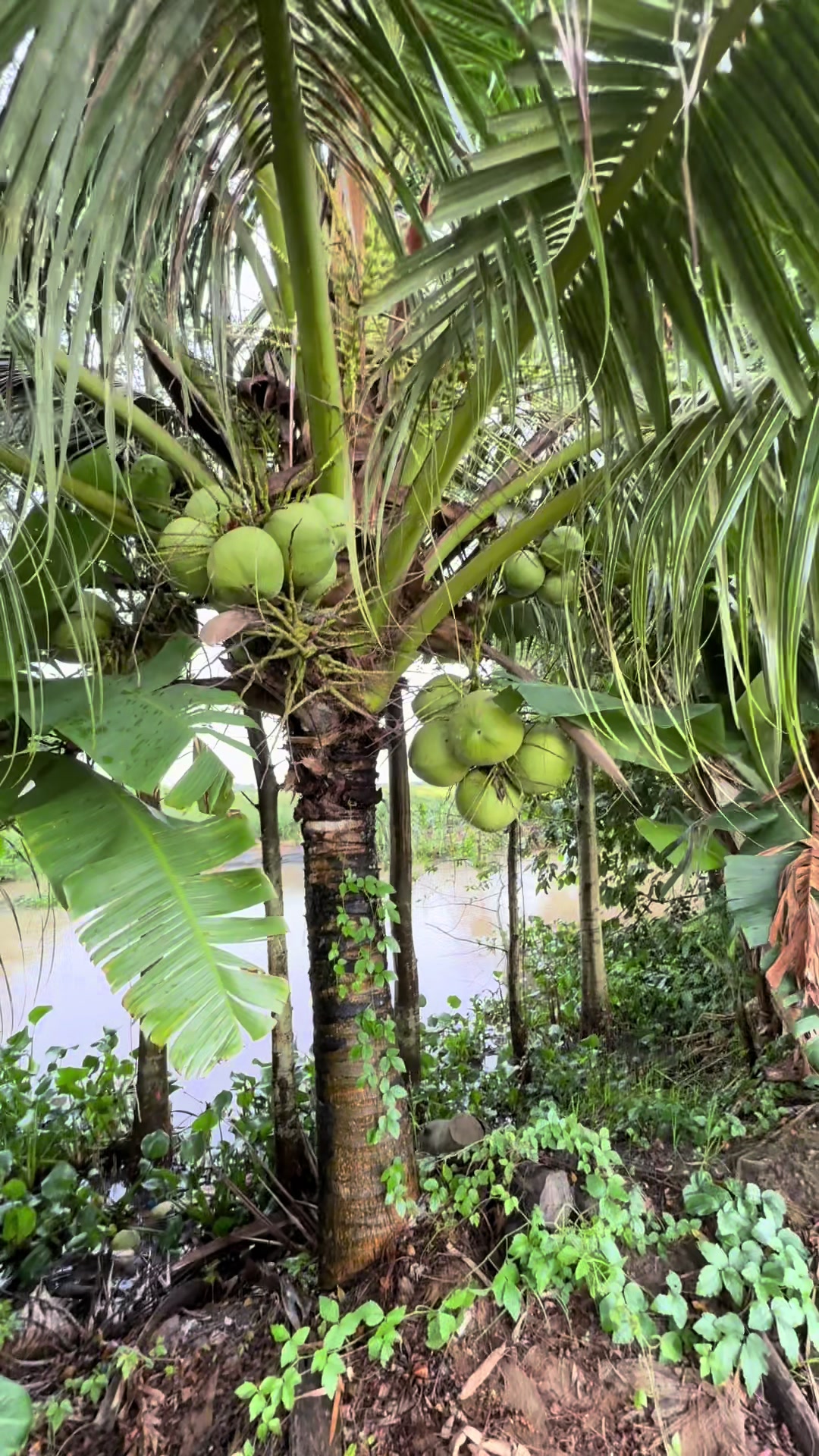 @Wendy le beauty☘️🍀☘️🍀☘️🍀🍀