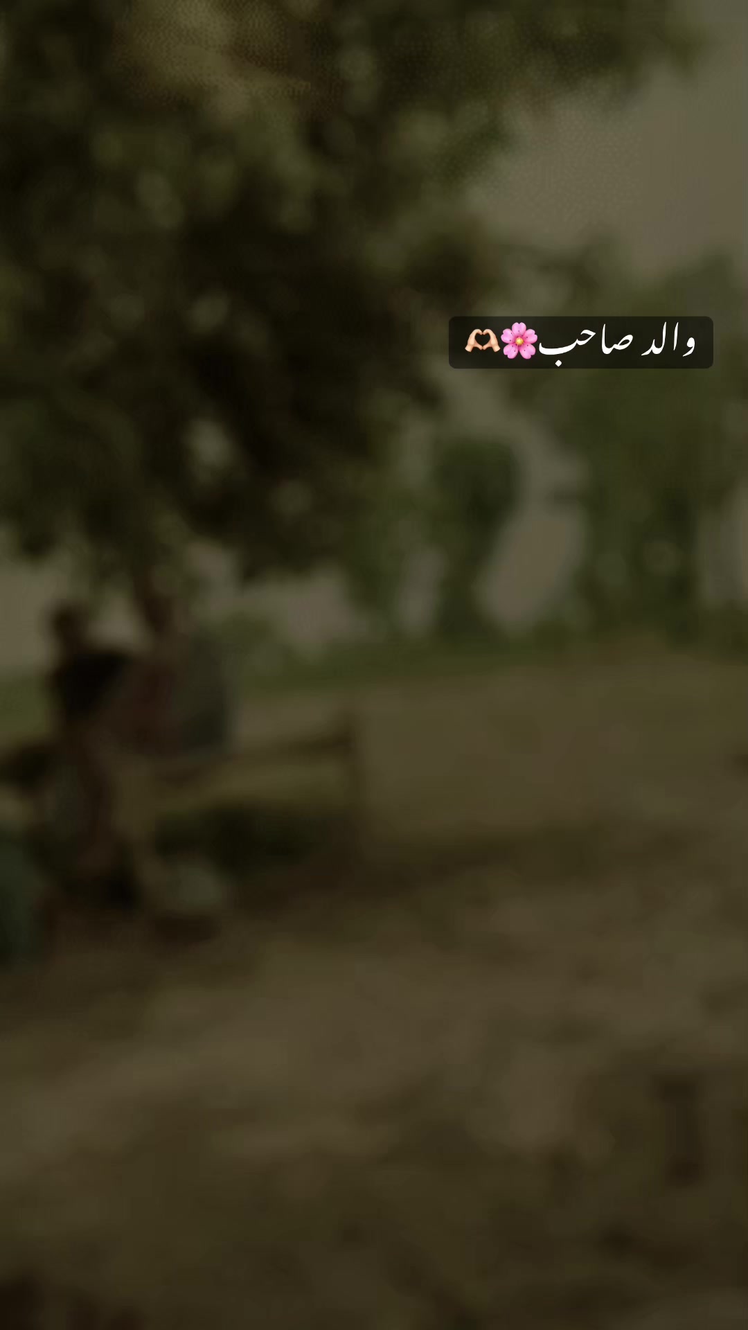 @مہرعلی عبّاس(تُلّہ)🐺