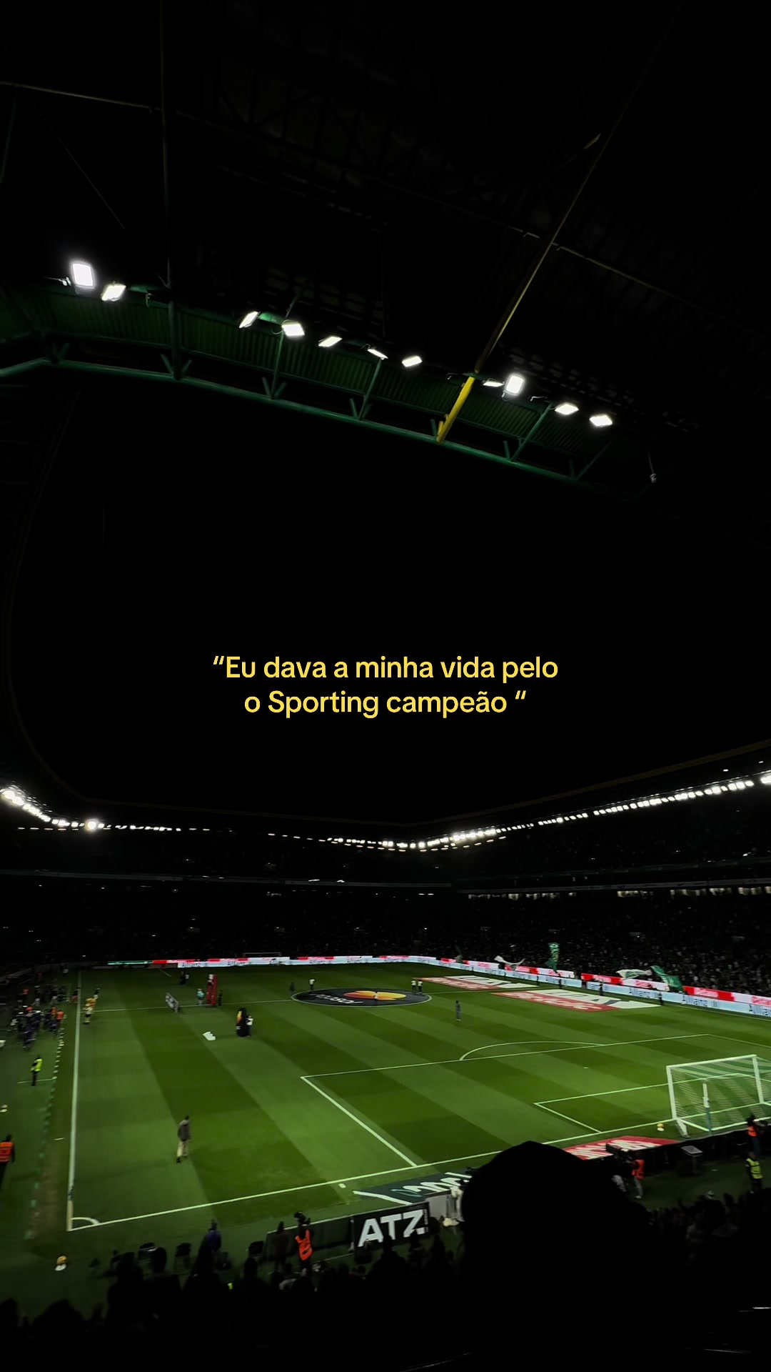 @tiago camarão🦐