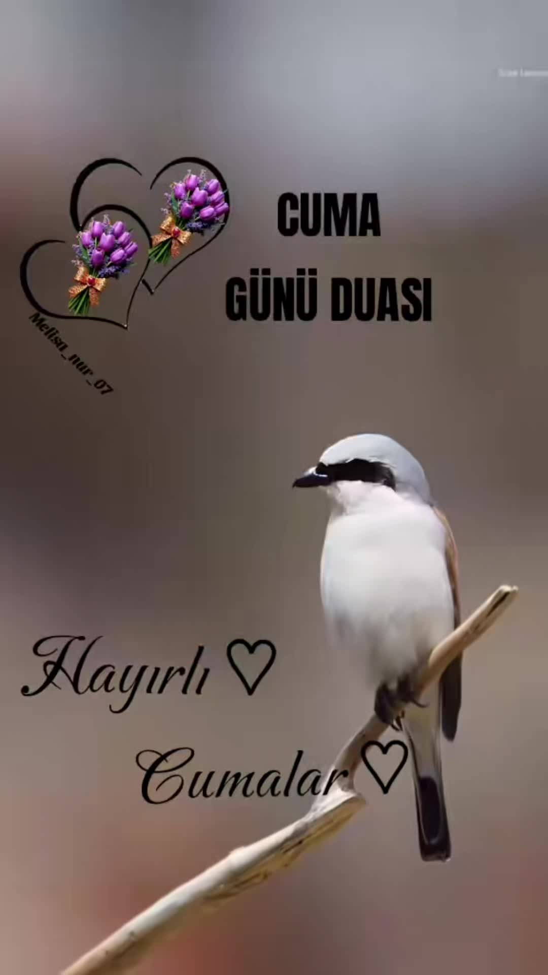 @Nuran 400