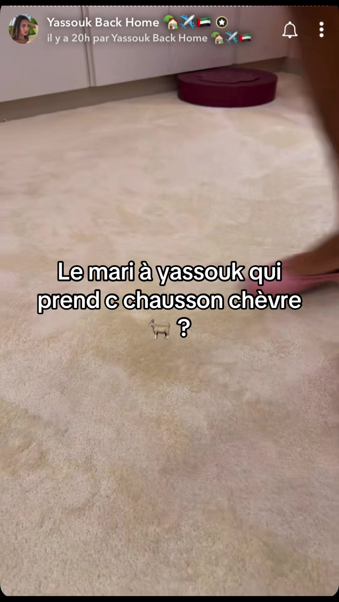 @TeaVicieux🐍☕️