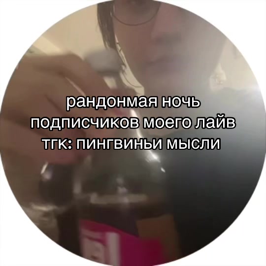 @pingu