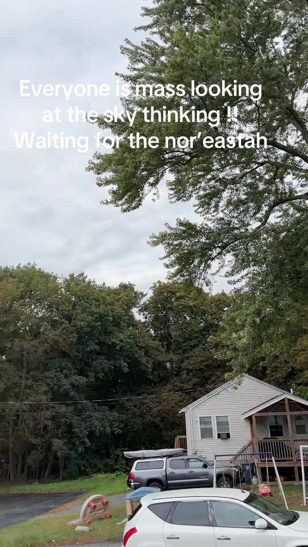 @bostonsunflower🌻