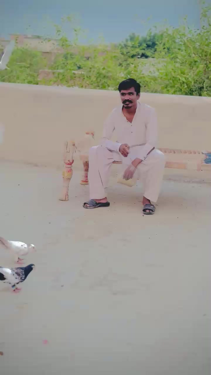 @عدیل رحمن لیہ وال کبوتر باز