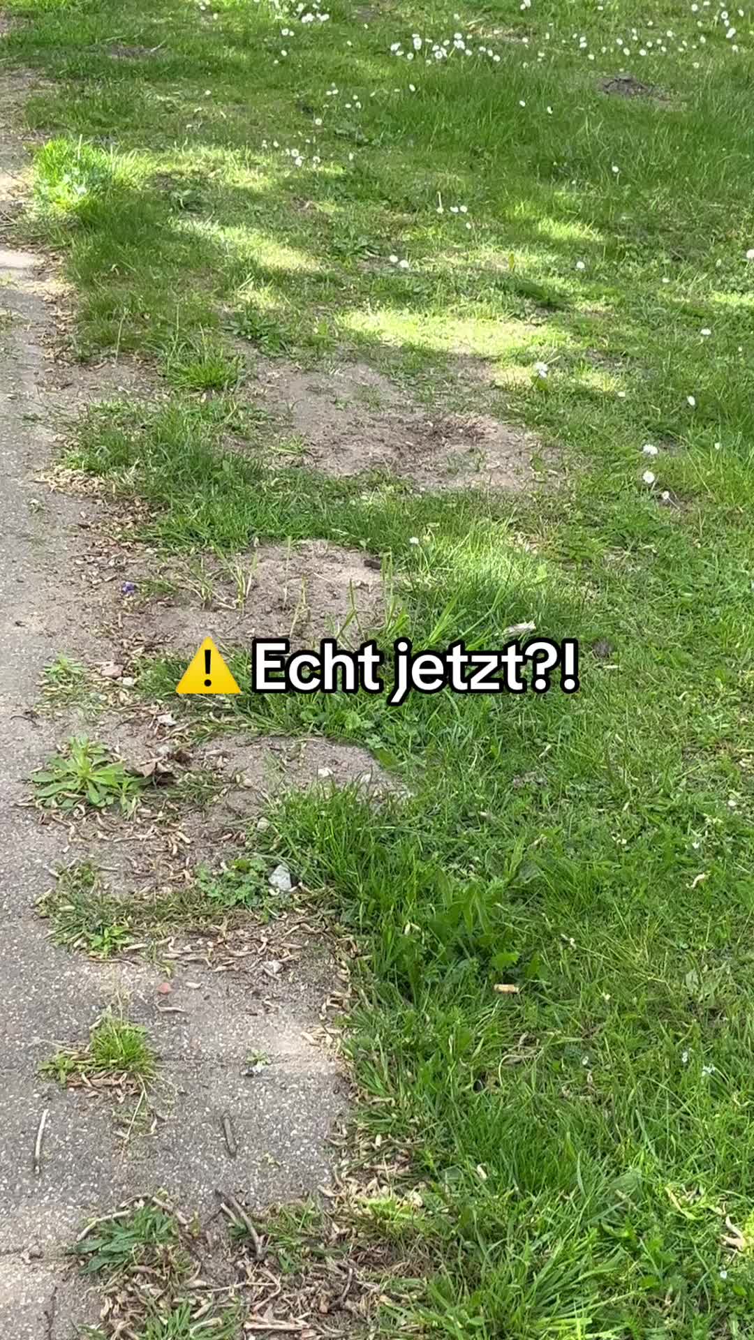 @DogMilow