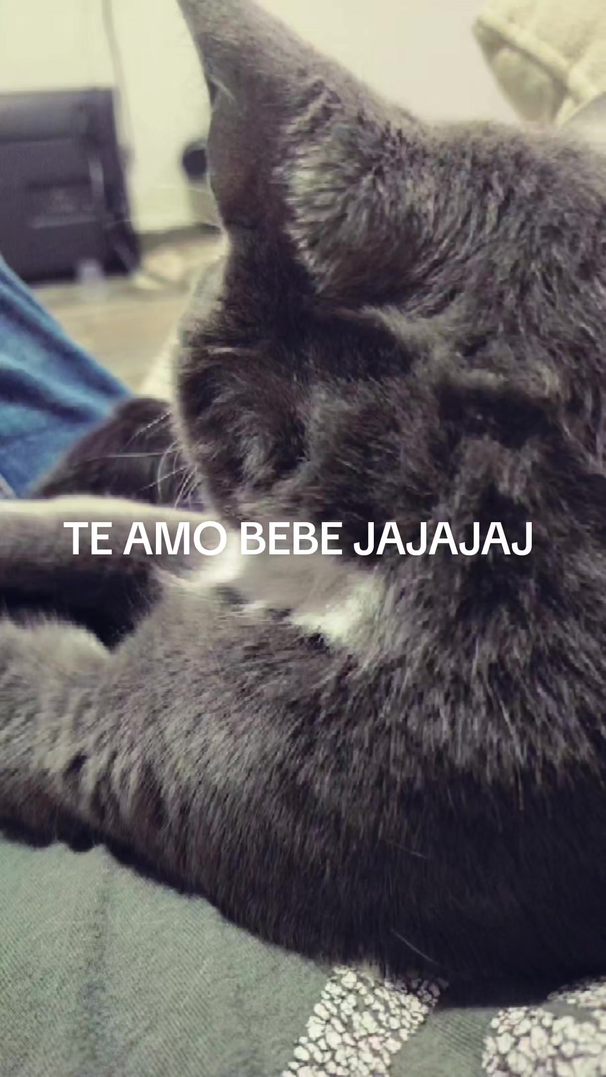@VIII