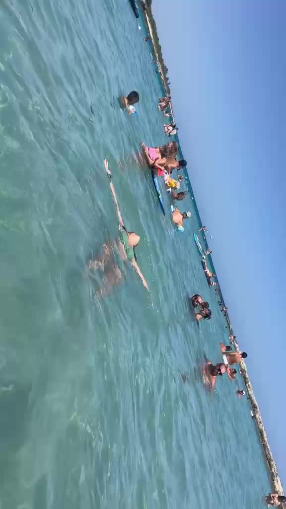 @larisalary440
