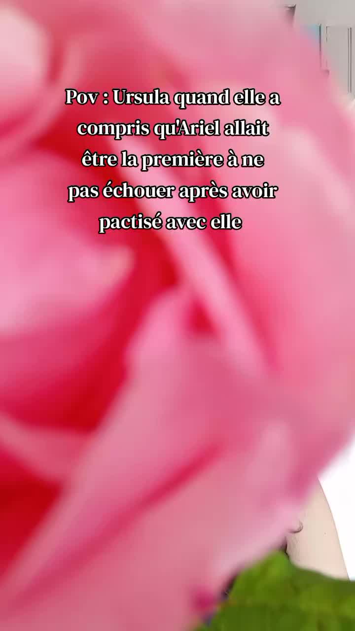 @Linda Dalles Autrice 🍓