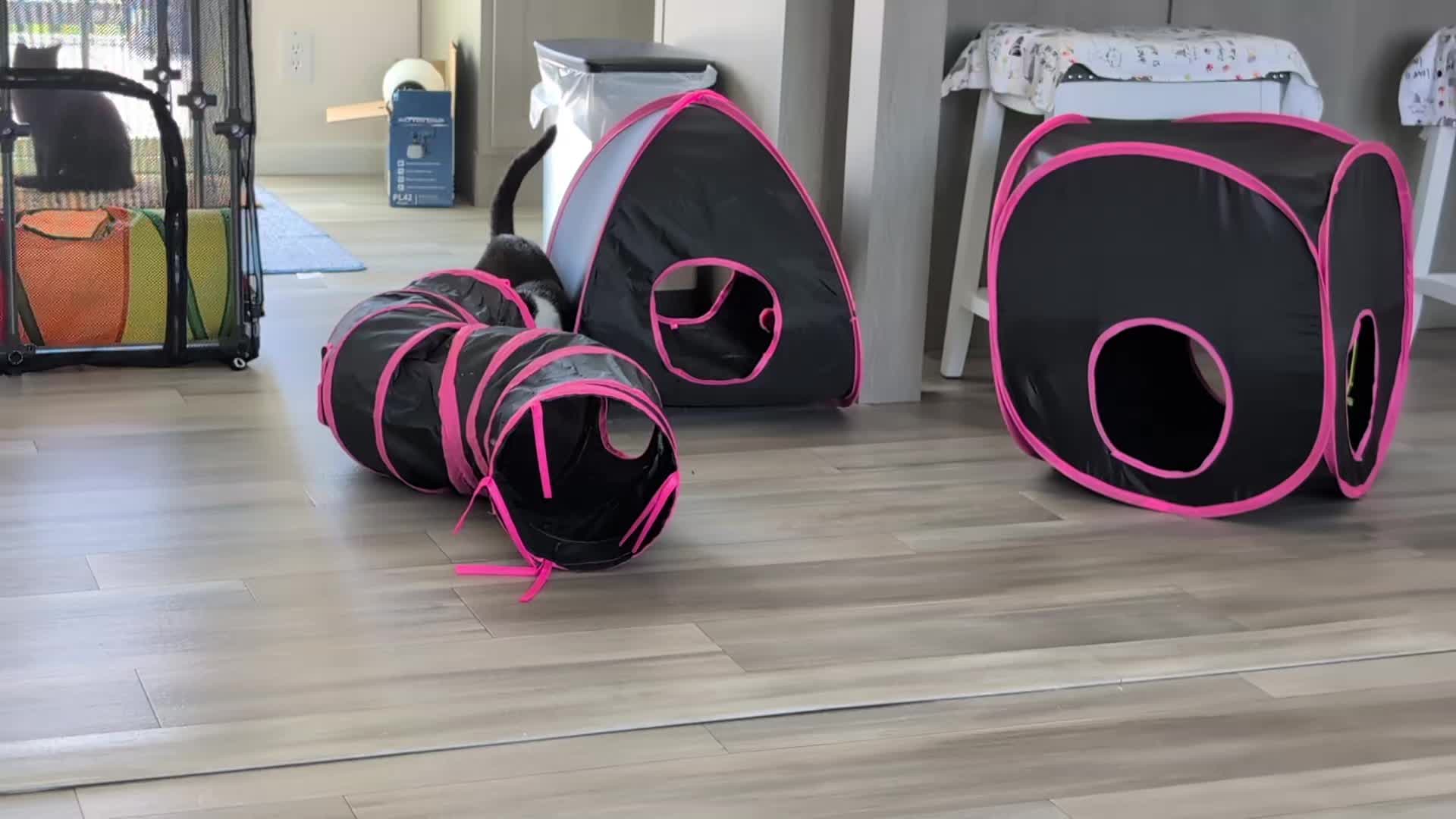 @The Ultimate Catio Life
