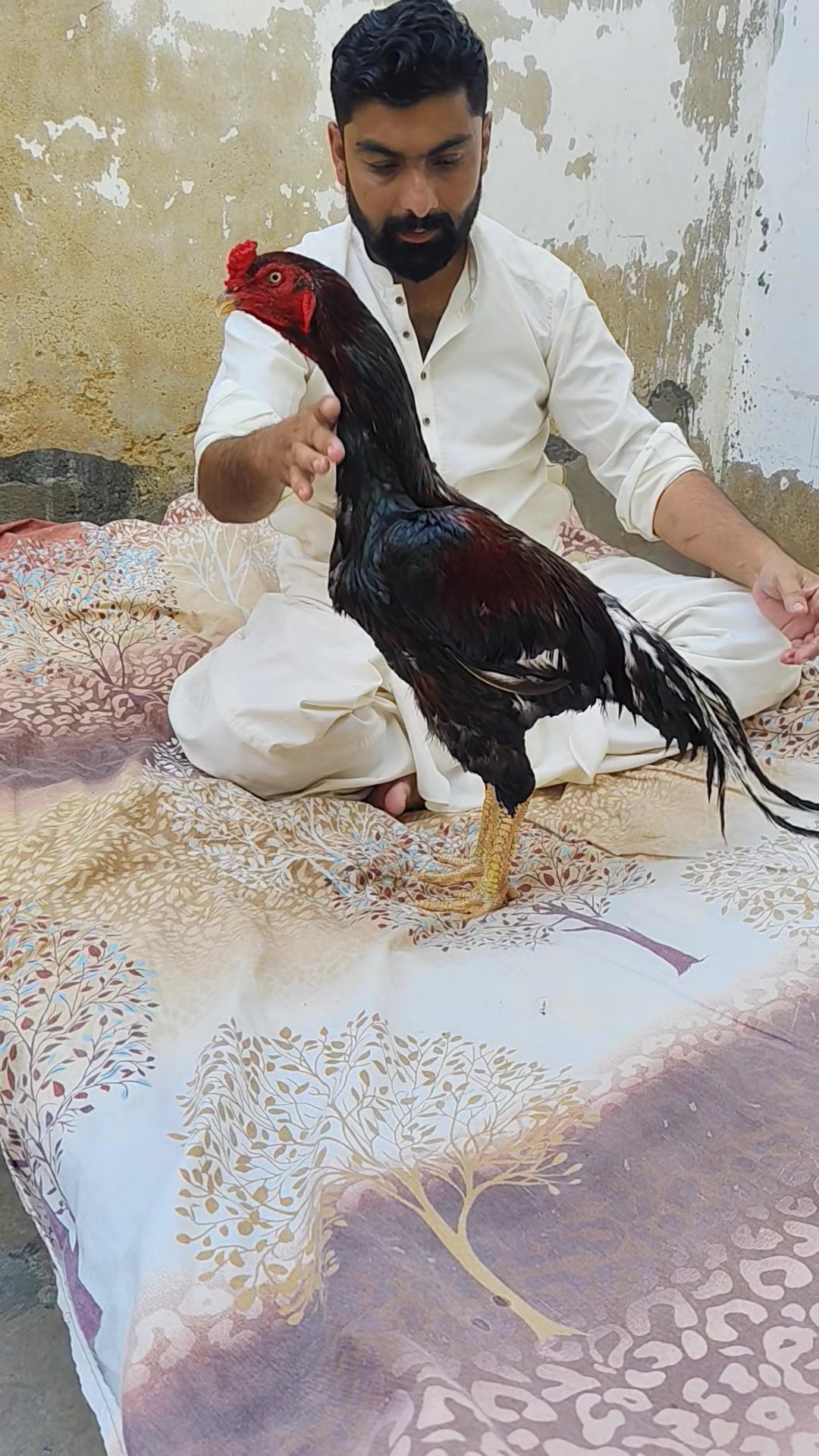 @Ahmad Bhatti