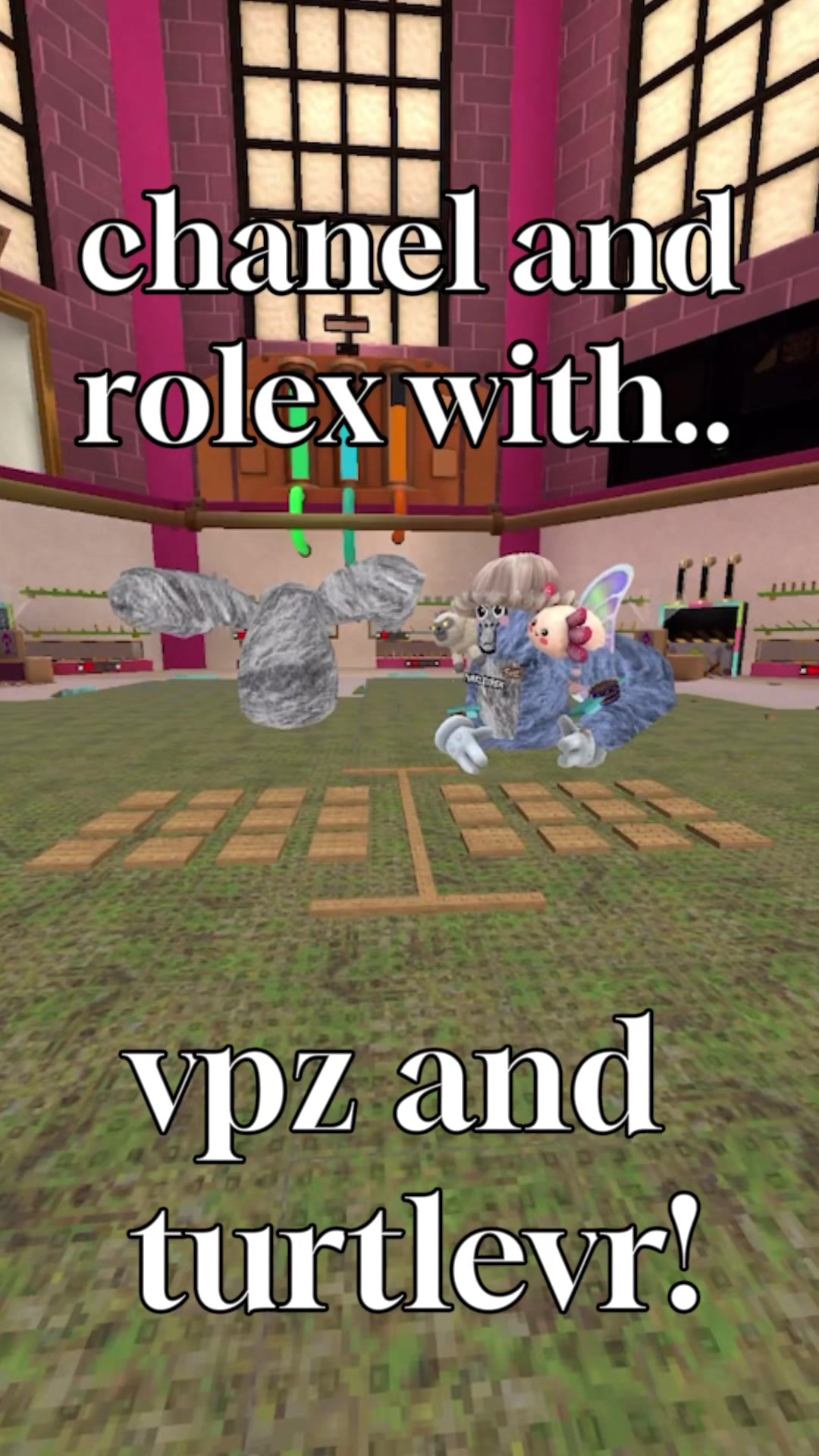 @💕TurtleVr🐢