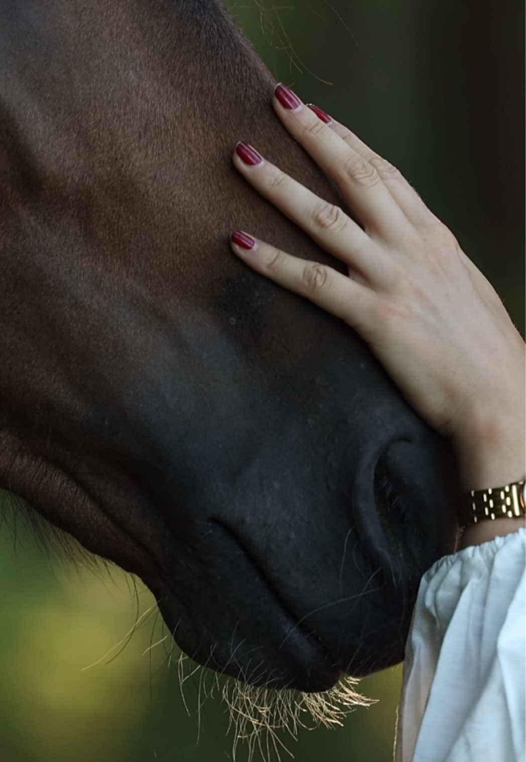 @FieryHorses ❤️&zwj;🔥