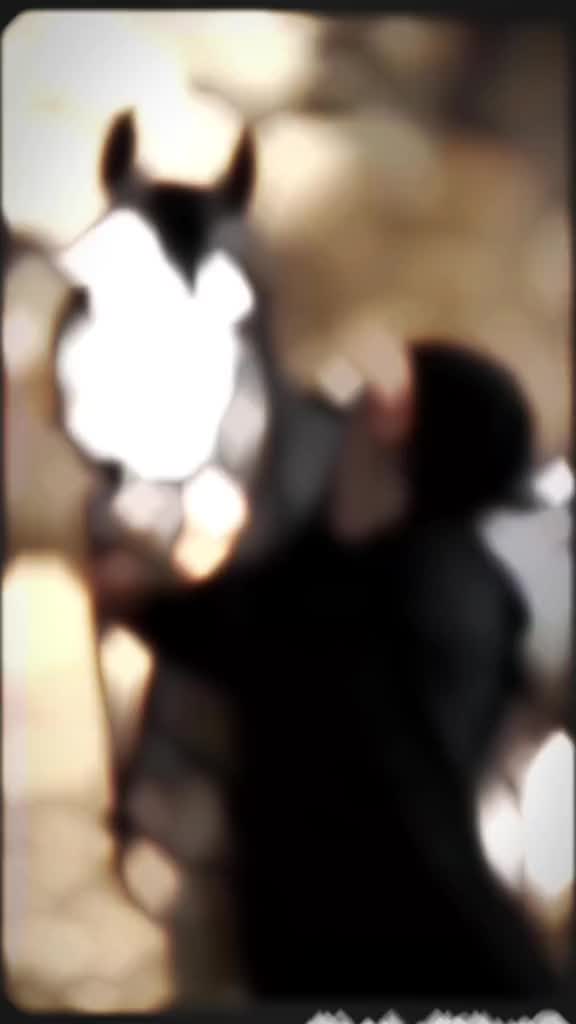 @✝️🧿🇮🇶المهره البغداديه🪬🐎☪️