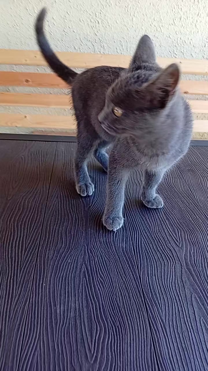 @𝓜𝓲𝓵𝓮𝓭𝓲 𝓓𝓪𝓶𝓪🪽