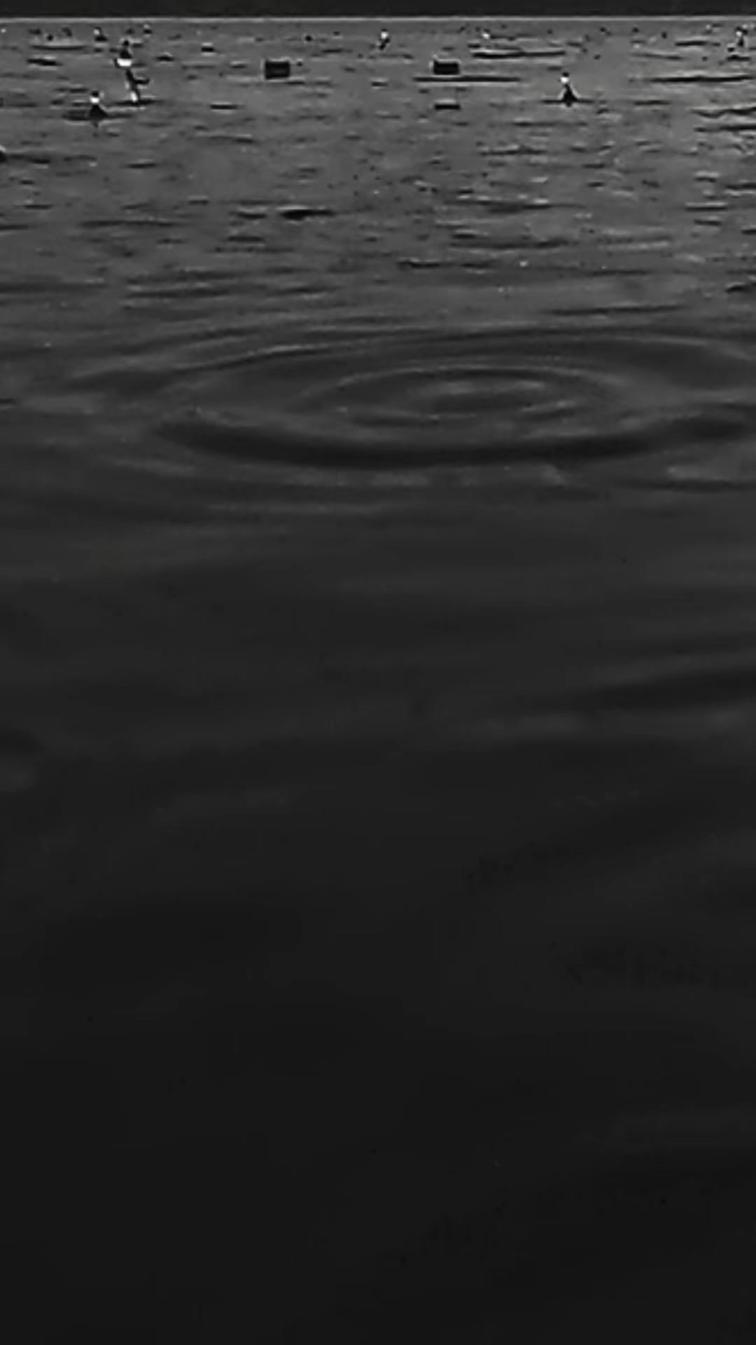 @DIVE