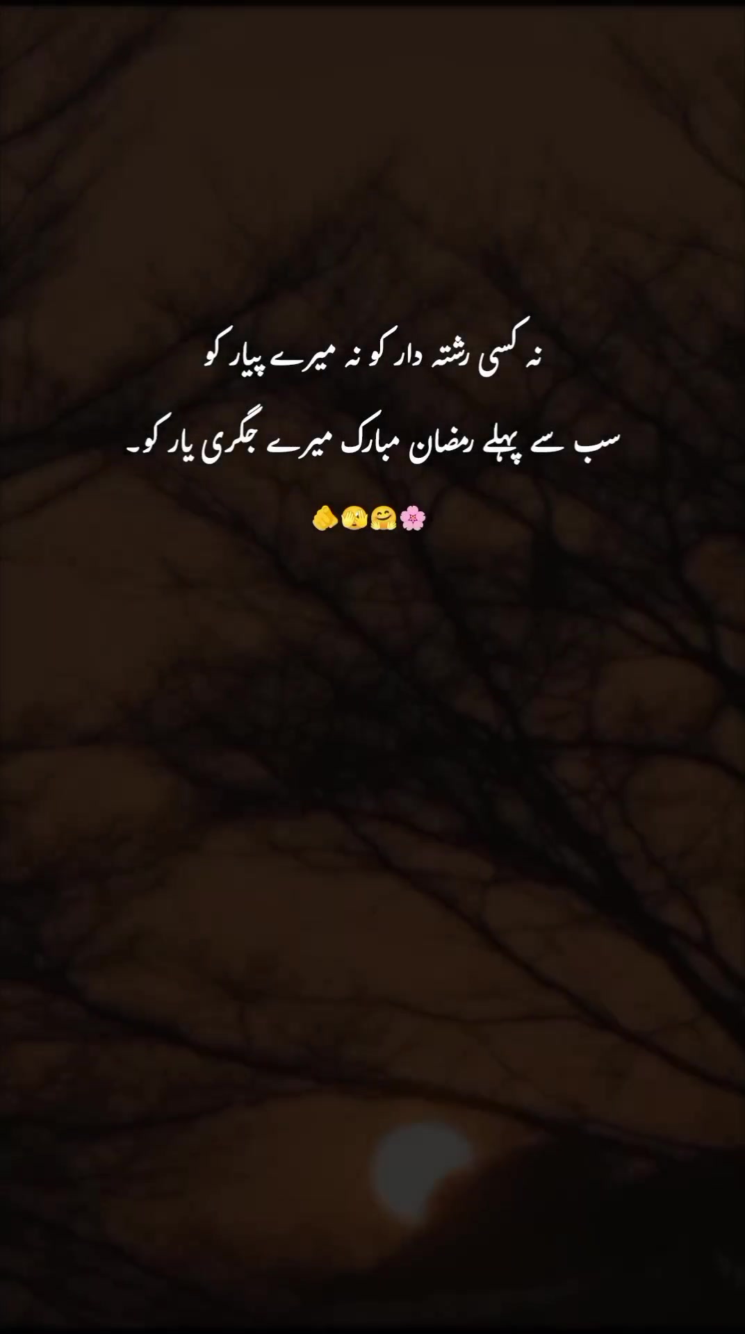 @ﮩـﮩﮩ٨ـ🫀ﮩ٨ـﮩﮩ٨ـ