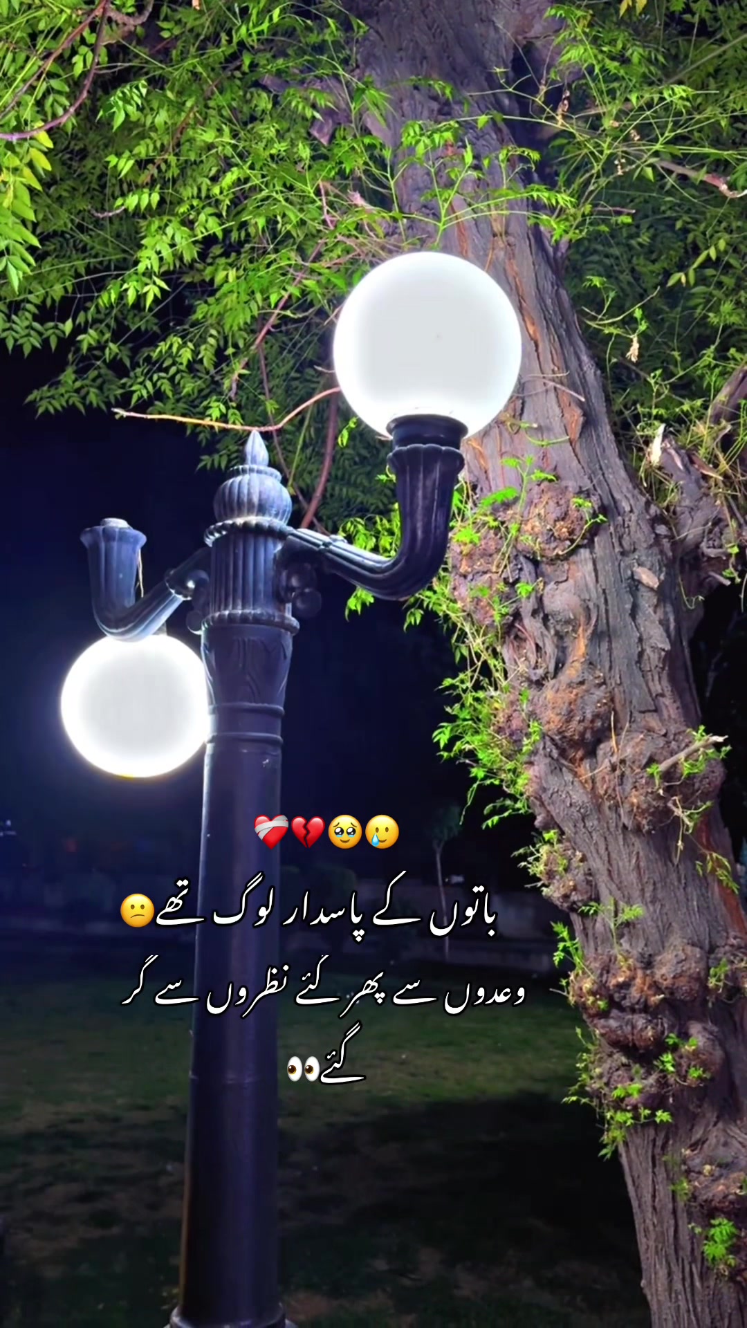 @꧁ᴹ꧍ujeeb ꧂: Khan522